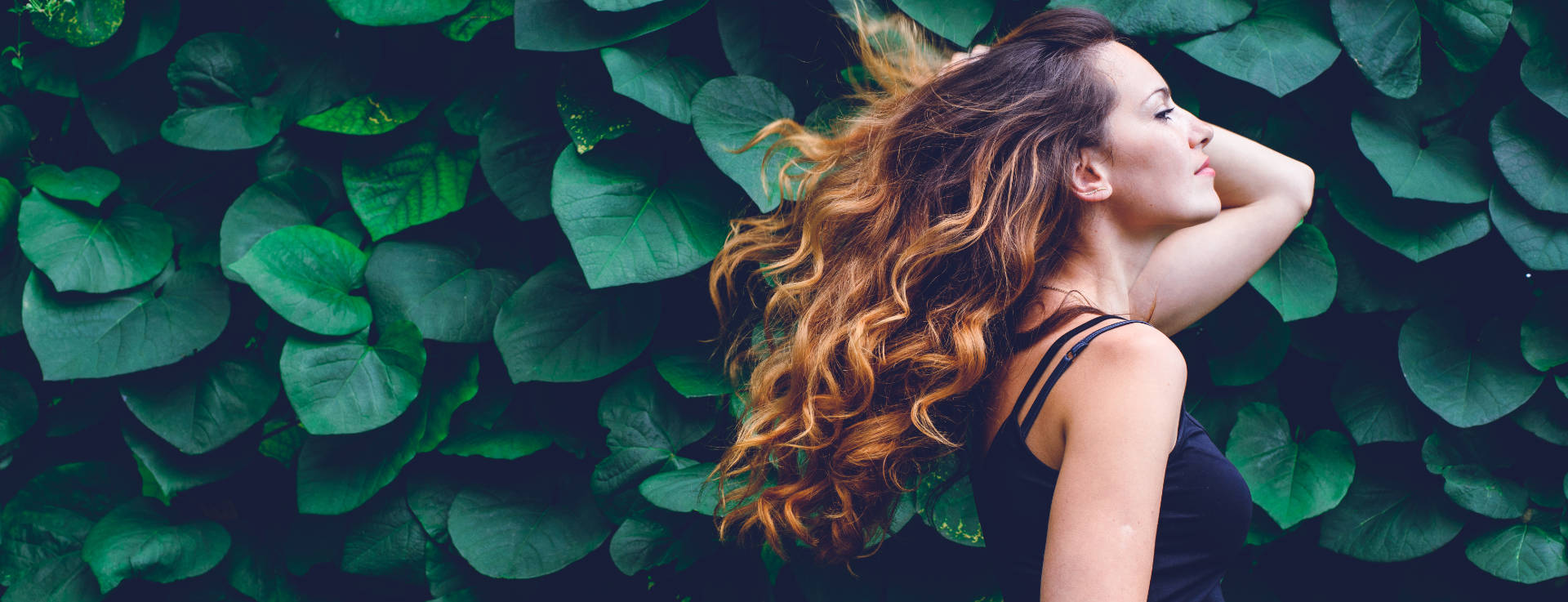 banner-new evelynkershawsalon